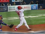 IMG_0455