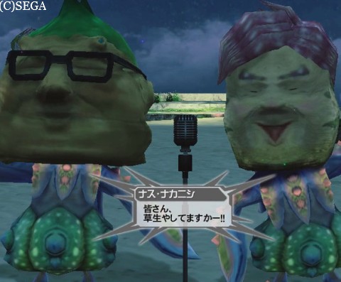 wwwwwwwww