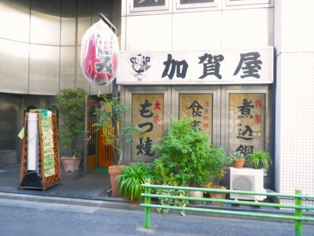 IMGP6196