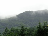 DSC00081