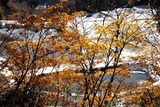 DSC_0192-6
