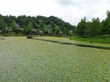 DSC00091