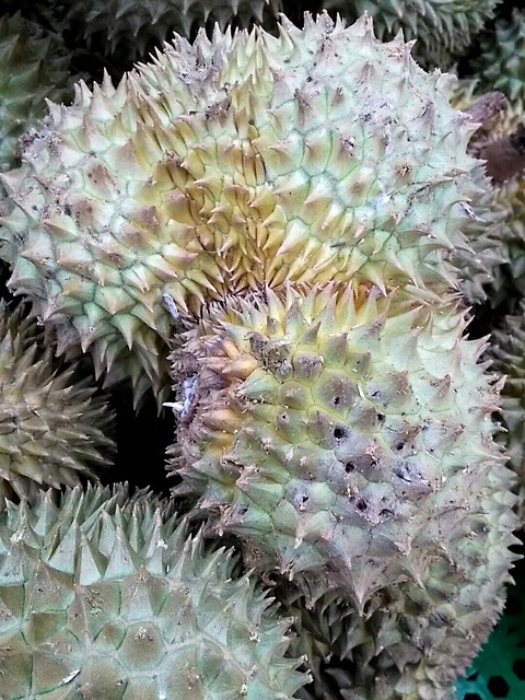 20180616_154926322