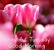 IMG-20170516-WA0006