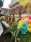 IMG-20170510-WA0038