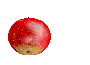 rringo_tensi