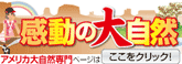 ルックツアー・大自然ページへ