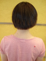 cha 066