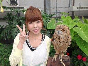fukurouimage