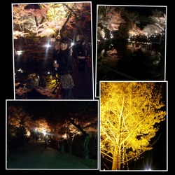 PhotoGrid_1354090183846