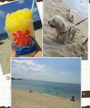 PhotoGrid_1344924799246