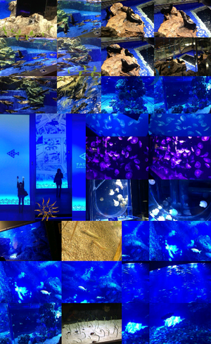 Collage 2013-10-20 22_02_28