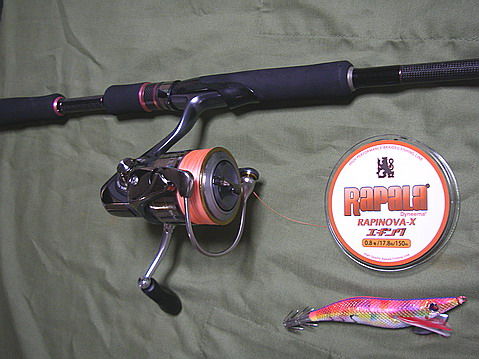 IMGP7312