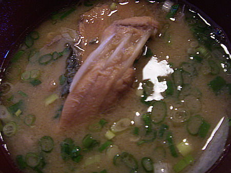 IMGP7093