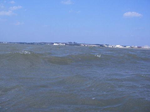 IMGP7271