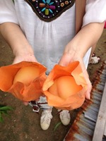 okayama3