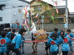 ÅìËܱº»Ò¶¡¡¡2012