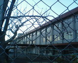 8b61ec67.jpg