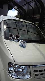 f8449ff6.jpg