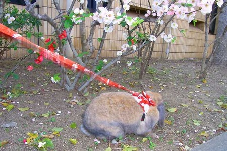 �����ˤ⤪�֤���
