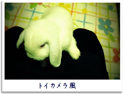 toy