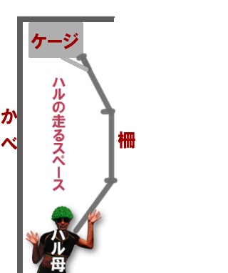 さーくる図