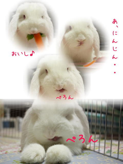 harunoyume