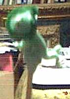 84ec7330.jpg