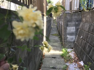 IMG_9473