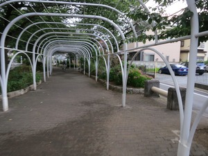 IMG_3011