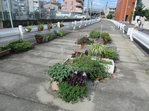 CIG_IMG140