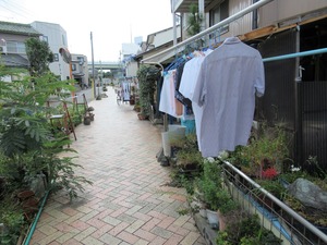 CIG_IMG114
