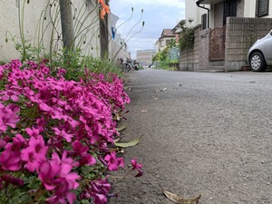 IMG_6214