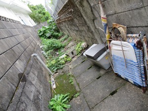 CIG_IMG334