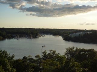 P1000709_320
