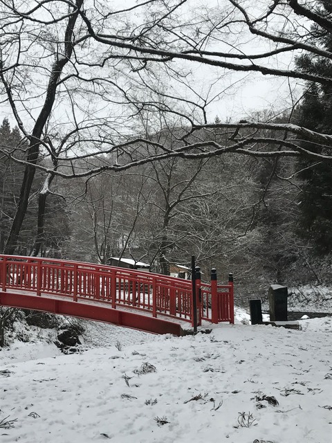 ファイル 2017-02-17 11 04 22