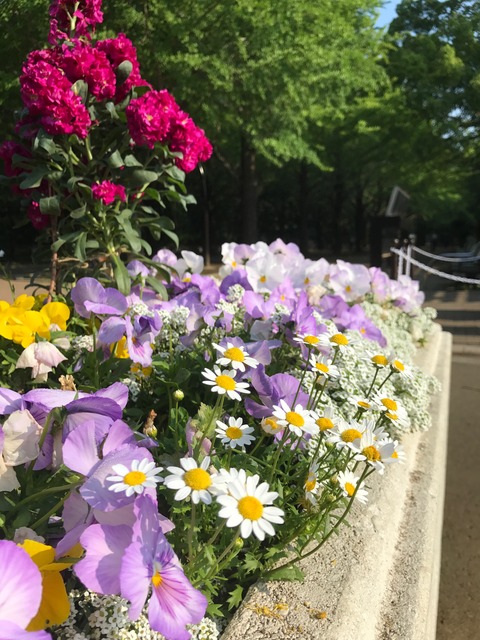 ファイル 2017-06-09 17 20 30