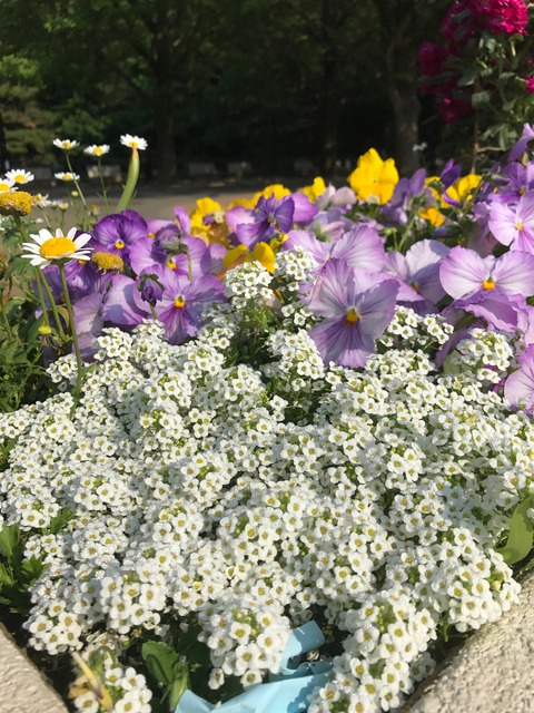 ファイル 2017-06-09 17 20 18