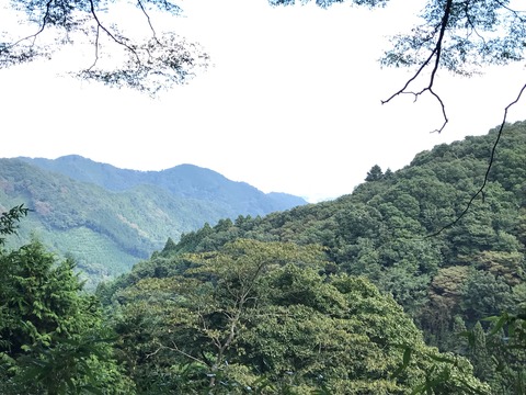 ファイル 2017-11-16 9 44 29