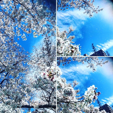 27FC864E-4E93-4FDA-A1DA-5348638B6B50