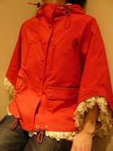 61079730.jpg