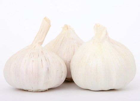 garlic-1238337__340