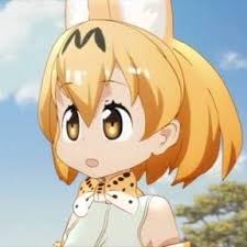 ダウンロード