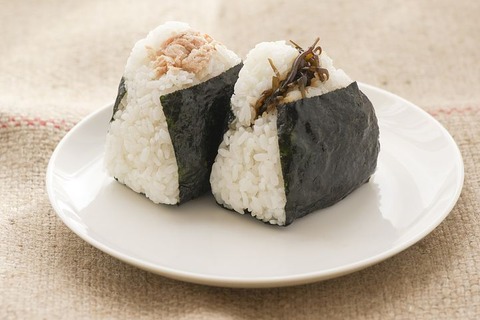 rice-ball-1919631__480