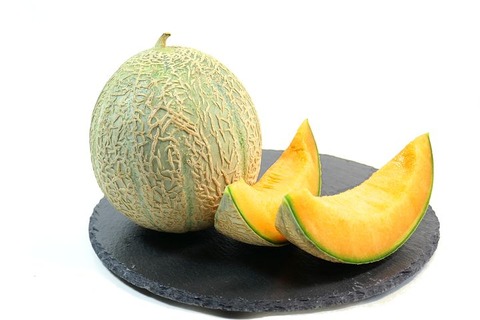 melon-2314618__480