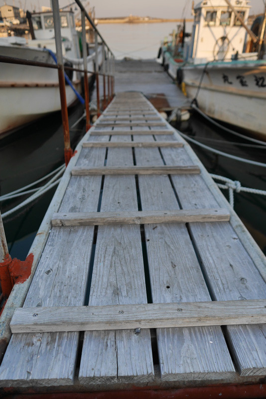 SHIROKO_PORT-2