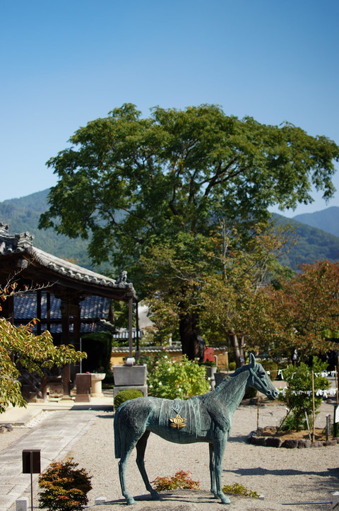 TACHIBANA_TEMPLE-5