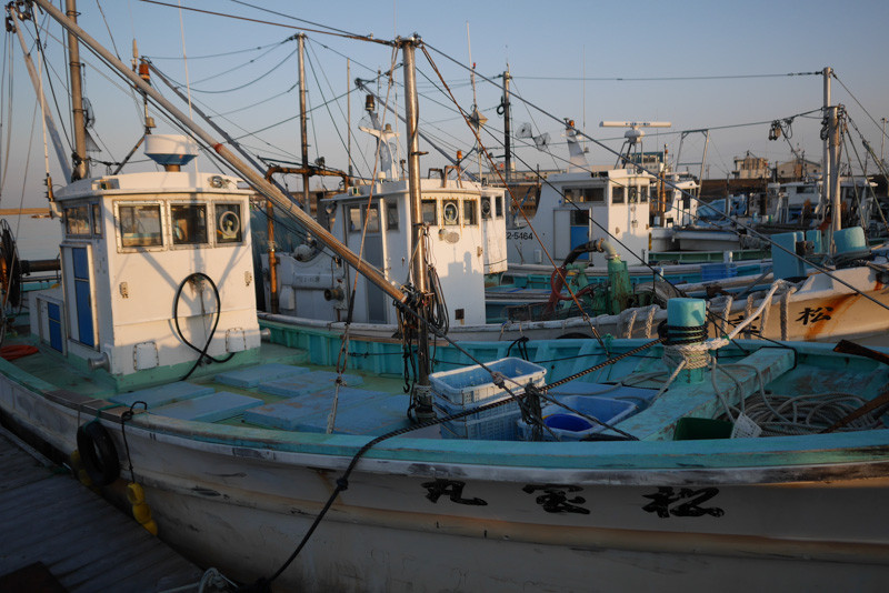 SHIROKO_PORT-1