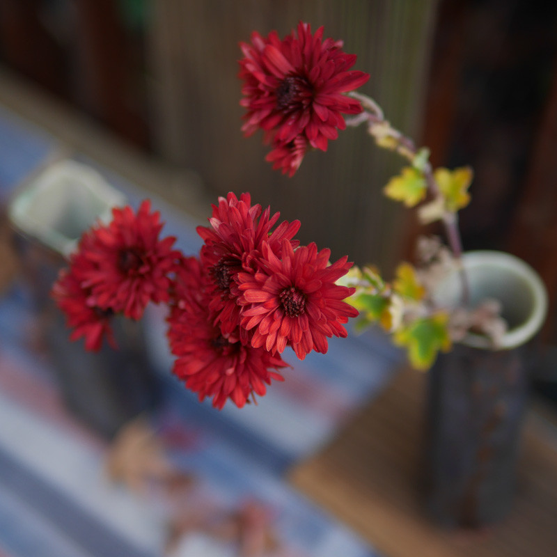 SAGANO_TOUKI-5