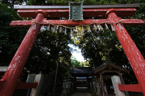 MATSUO_JINJA-5